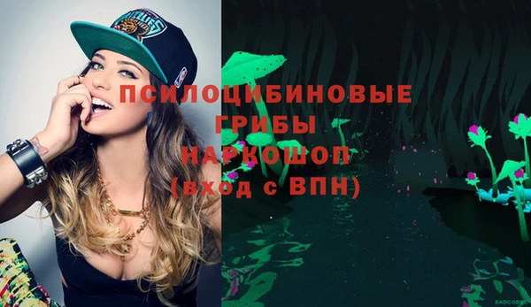 мдпв Белокуриха