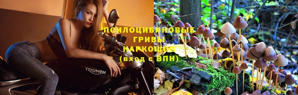 экстази Беломорск