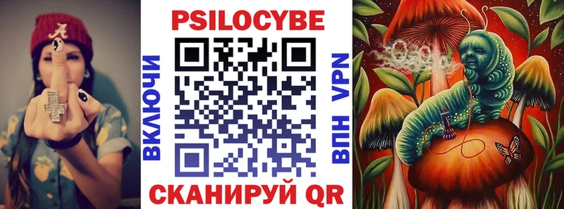 KRAKEN   Выборг  Галлюциногенные грибы мухоморы 